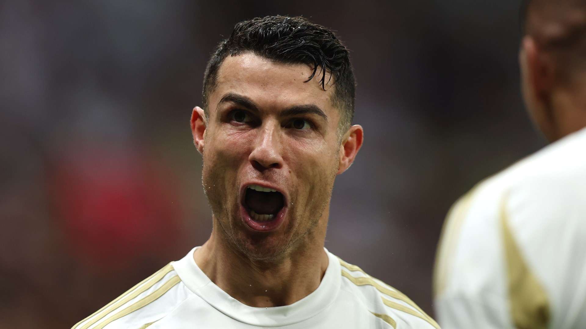 完美契合马 完美契合马